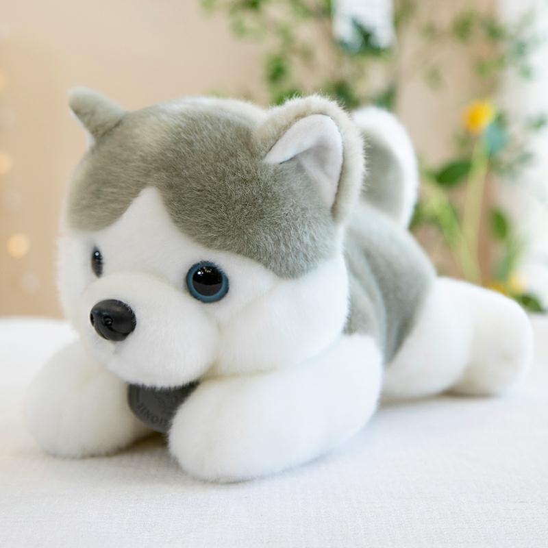 Kinderpluche Speelgoed |   Husky Knuffel Hond Speelgoed Voor Jongens En Meisjes, Schattige Pluche Puppy Pop Voor Baby’s En Kinderen, Honden Knuffel. Kinderpluche Speelgoed Kinderpluche Speelgoed