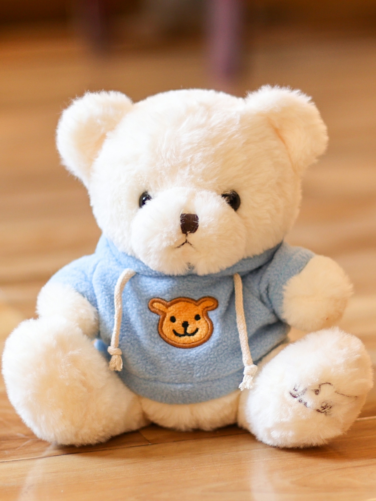 Kinderpluche Speelgoed |   Teddybeer Knuffel Met Kleding, Schattige Kleine Beer, Pluche Speelgoed, Ideaal Als Slaapknuffel, Verjaardagscadeau Voor Meisjes. Kinderpluche Speelgoed Kinderpluche Speelgoed