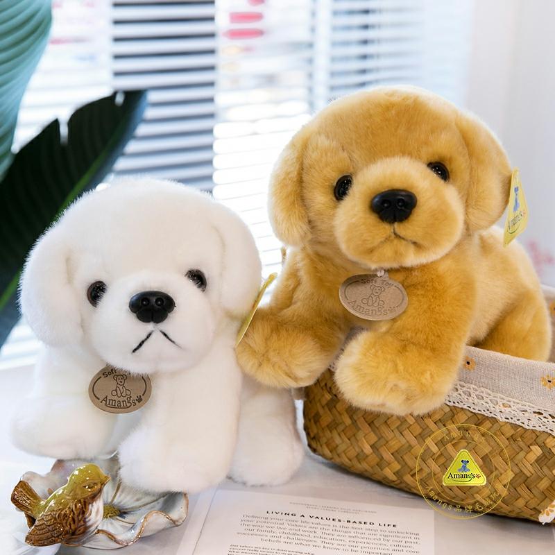 Kinderspeelgoedpop |   Hondenknuffel Speelgoed Kleine Hond Pop Voor Meisjes Pluche Slaapkussen Schattige Realistische Golden Retriever Knuffel Voor Kinderen Kinderspeelgoedpop Kinderspeelgoedpop